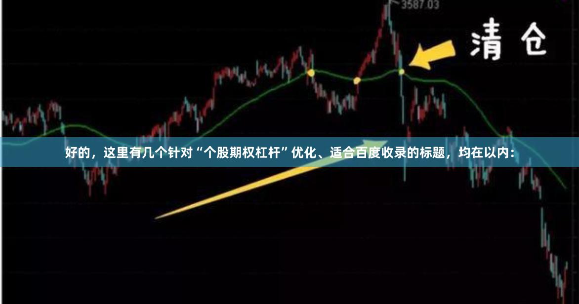 好的，这里有几个针对“个股期权杠杆”优化、适合百度收录的标题，均在以内：