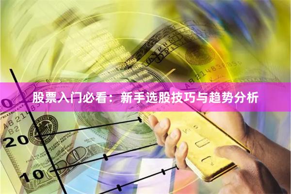 股票入门必看：新手选股技巧与趋势分析