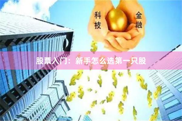 股票入门：新手怎么选第一只股